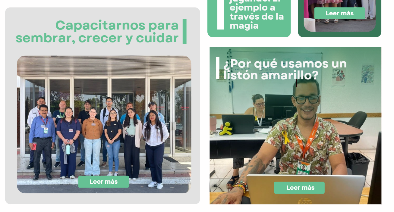 Noticia destacada sobre capacitación para sembrar, crecer y cuidar