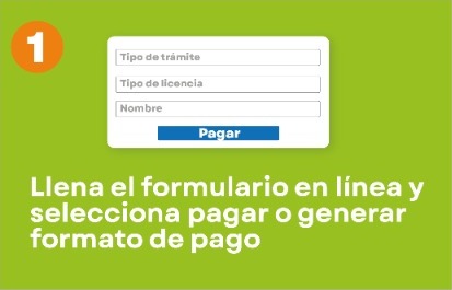 Paso 1: llena el formulario en línea y selecciona pagar o generar formato de pago