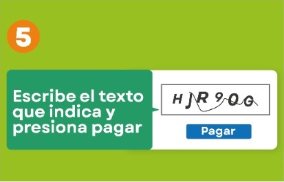 Paso 5: escribe el texto que indica y presiona pagar